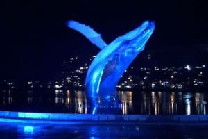 Humpback_sculpture_night