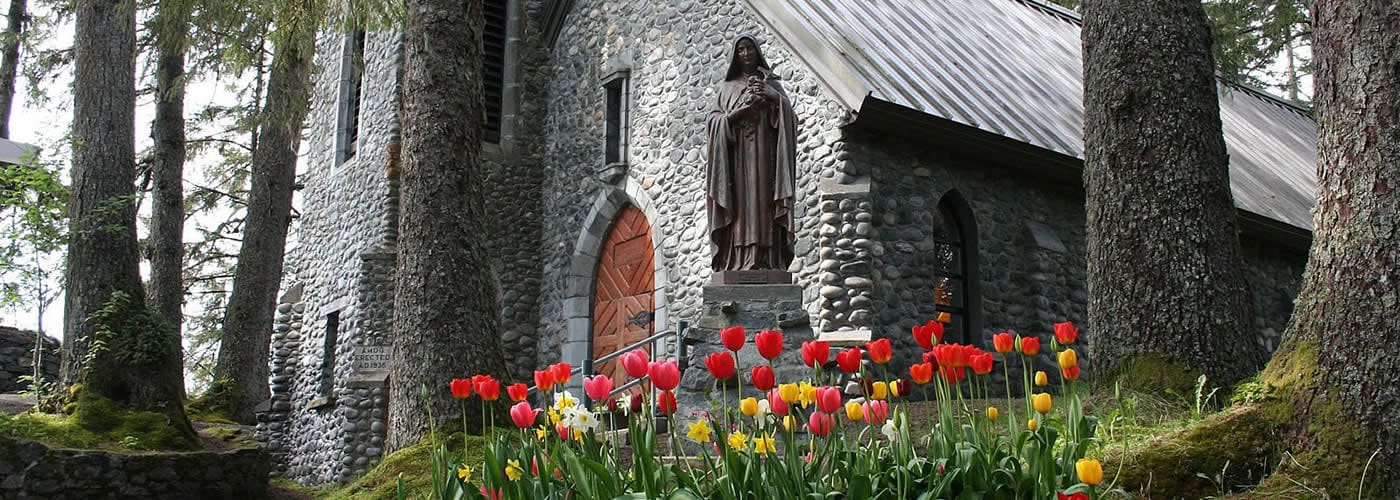 Church Tulips